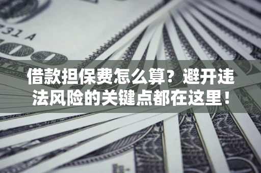 济南借款担保费怎么算？避开违法风险的关键点都在这里！