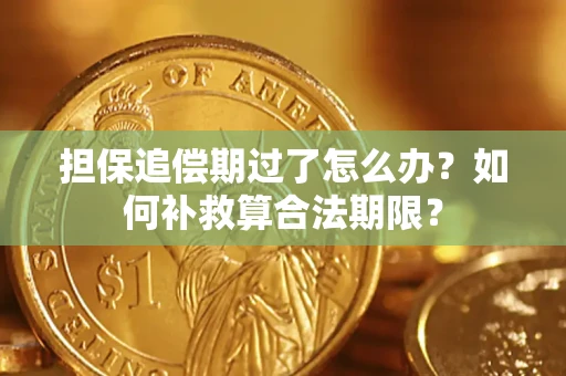 济南担保追偿期过了怎么办？如何补救算合法期限？