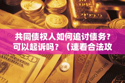 济南共同债权人如何追讨债务？可以起诉吗？（速看合法攻略）