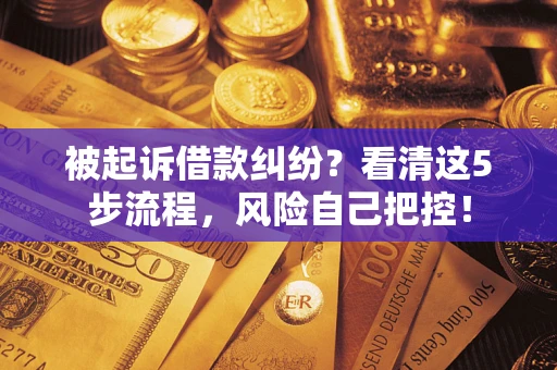 济南被起诉借款纠纷？看清这5步流程，风险自己把控！